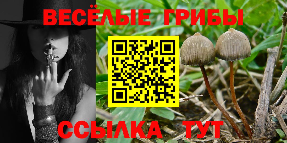 Псилоцибиновые грибы MAGIC MUSHROOMS  Вход с VPN  Лениногорск 