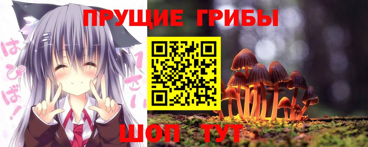 Галлюциногенные грибы мухоморы Лениногорск